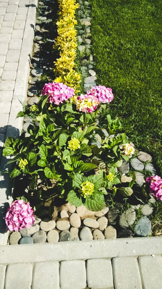 IMG-20220825-WA0004